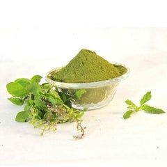 Basil / Tulsi Powder